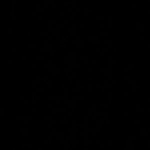 Meet your Posher, Alora